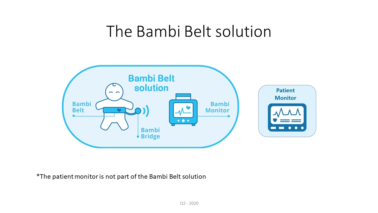 Elements of the Bambi Belt solution