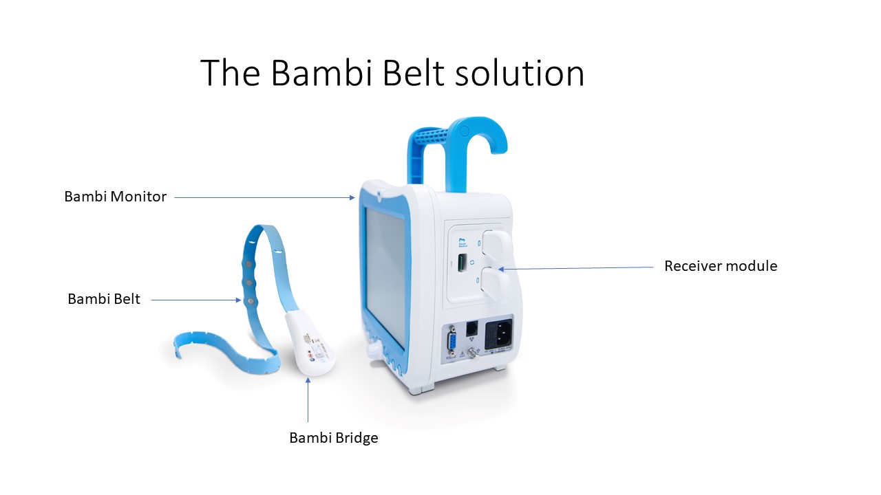 The Bambi Belt solution