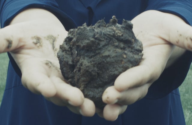 manure.png