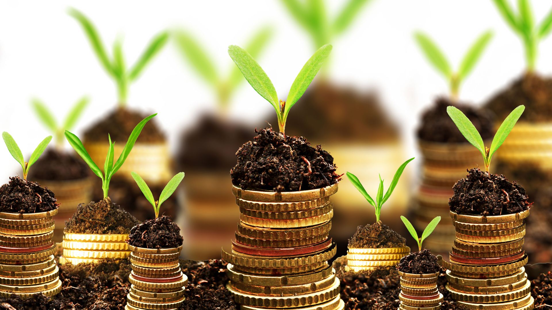 Why high tech companies like Philips and NXP are growing in Eindhoven (the Netherlands)