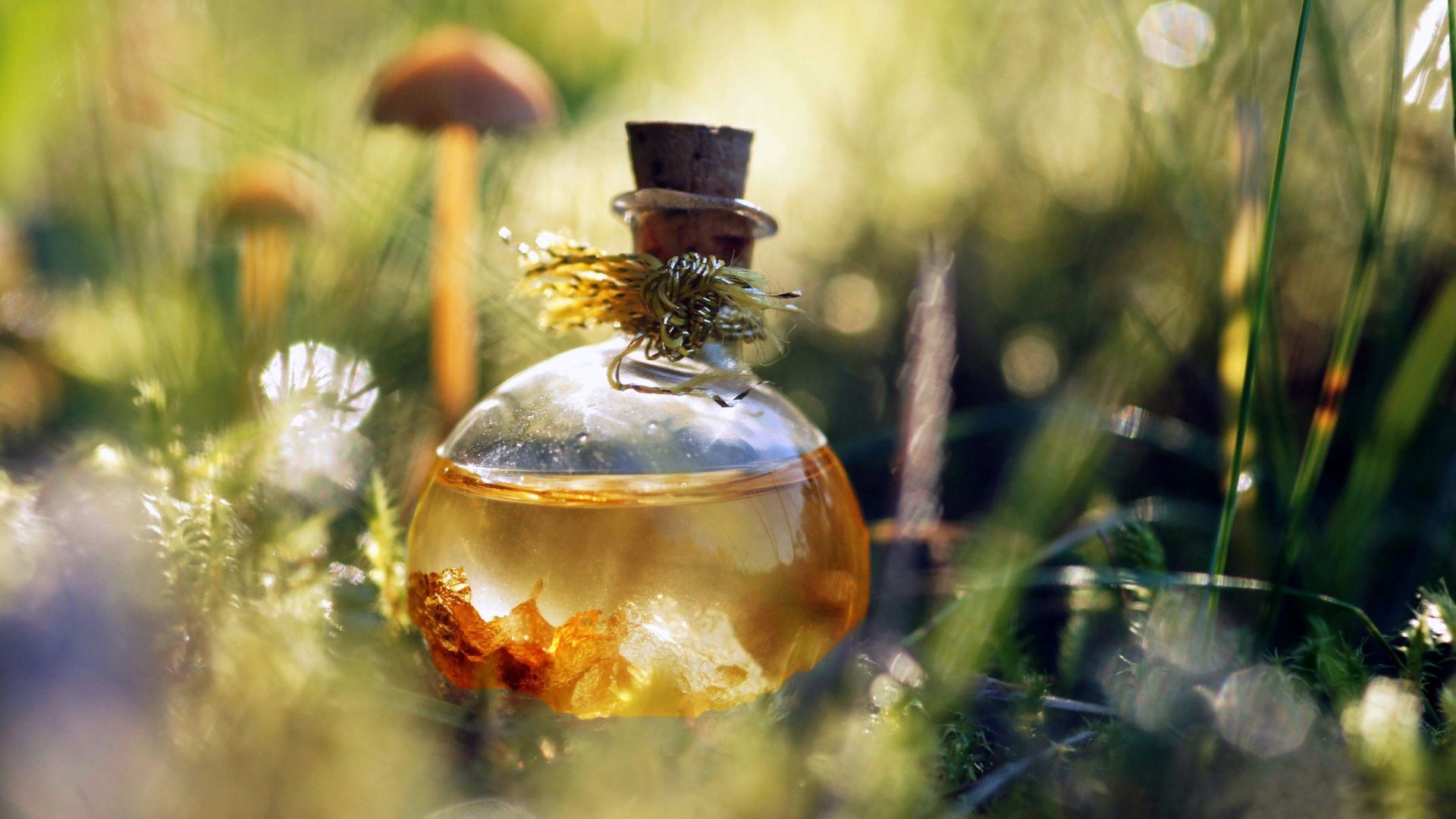 10 Signposts On How To Brew Your Own Magic Potion For High Tech