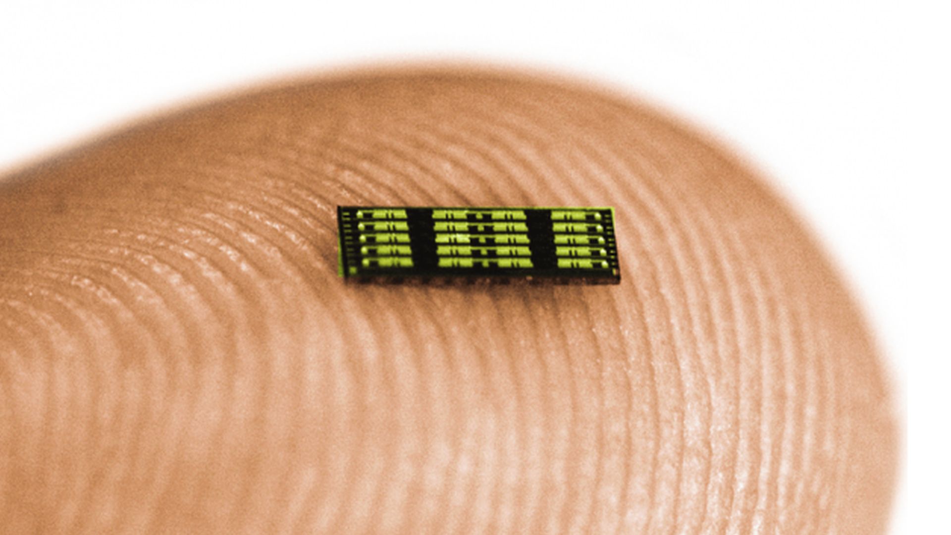 PhotonDelta Opens Institute For Photonic Integration: ‘Big Step Towards A More Durable Future’